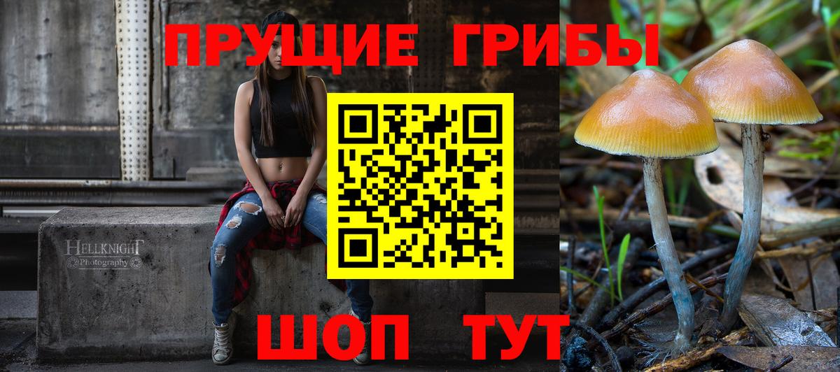 Псилоцибиновые грибы мухоморы Осинники