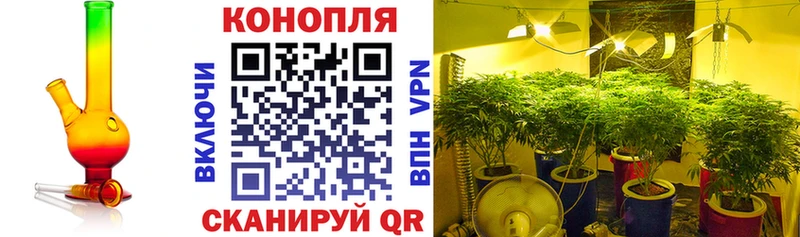 где купить наркоту  Осинники  Марихуана конопля 